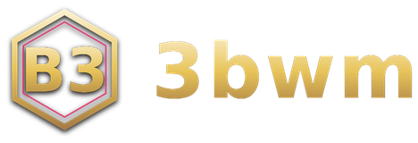 3bwm logo
